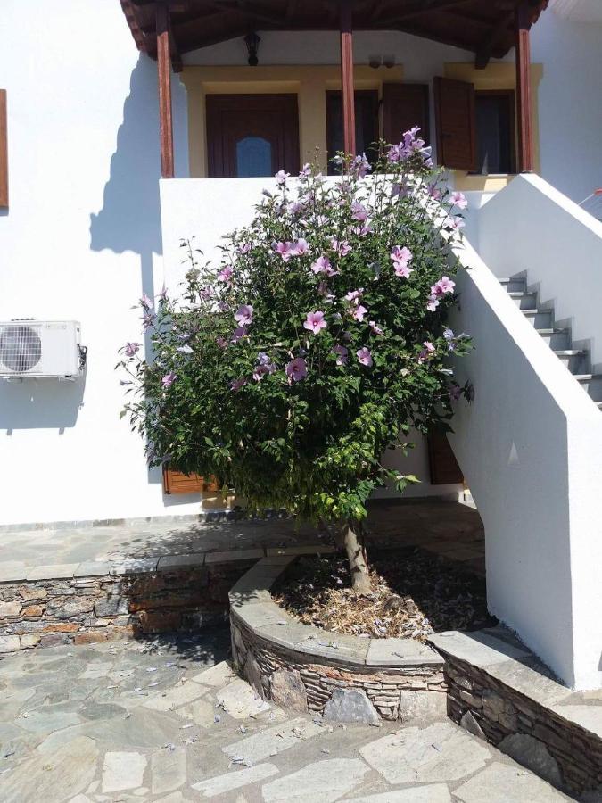 Niki Apartments Panormos  المظهر الخارجي الصورة